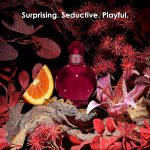 HIDDEN FANTASY - Image 3